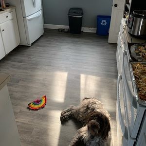 Meet your Posher, Phil